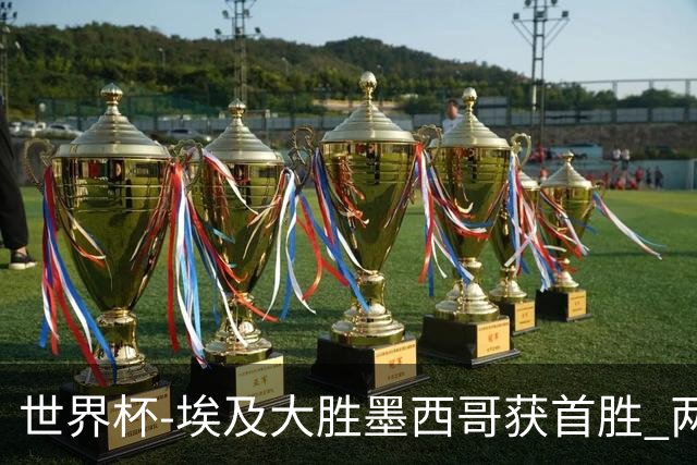 世界杯-埃及大胜墨西哥获首胜 两队均无缘16强