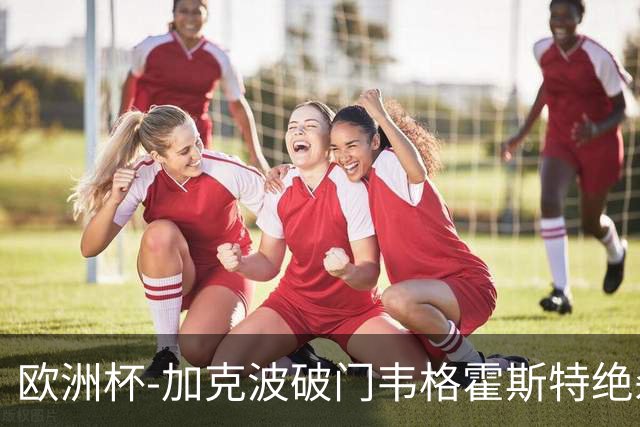 欧洲杯-加克波破门韦格霍斯特绝杀 荷兰2-1波兰