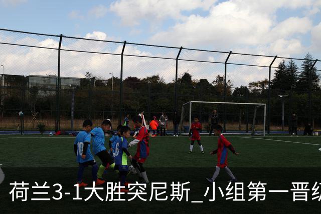 荷兰3-1大胜突尼斯 小组第一晋级淘汰赛将战摩洛哥